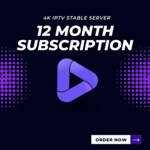 Premium Server 12 months
